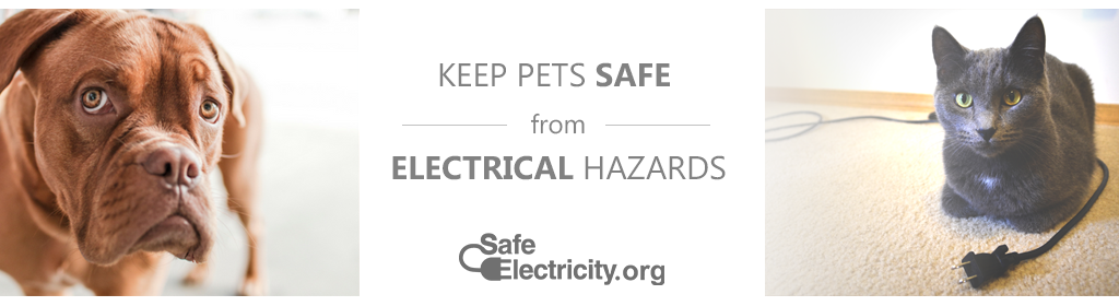 KeepPetsSafe